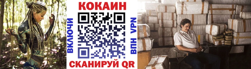 COCAIN Fish Scale  купить наркоту  Пучеж 