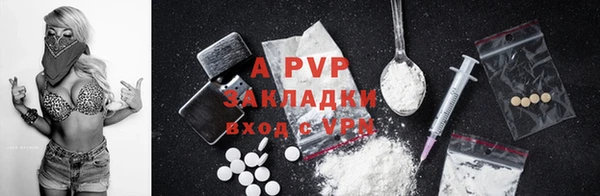 спиды Вяземский