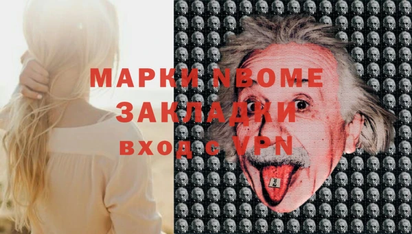 спиды Вяземский
