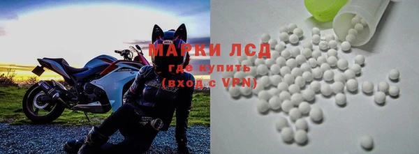 спиды Вяземский