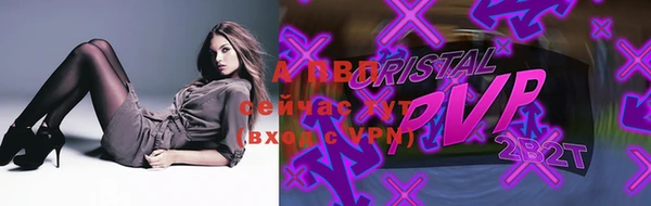 спиды Вяземский