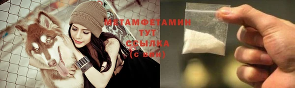 спиды Вяземский
