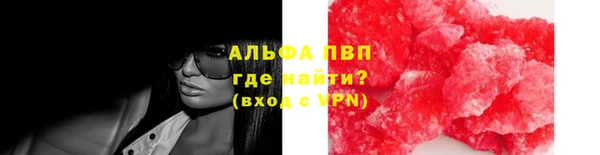 спиды Вяземский