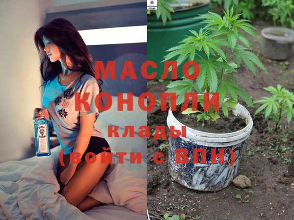 спиды Вяземский