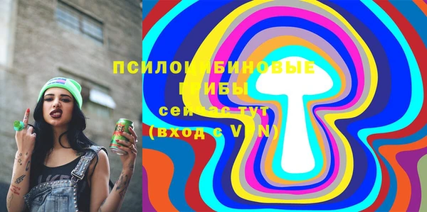 спиды Вяземский