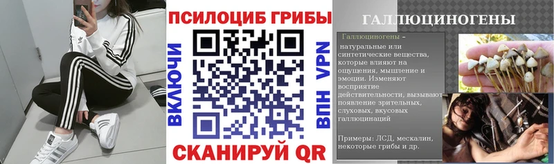 Псилоцибиновые грибы Cubensis  Пучеж 